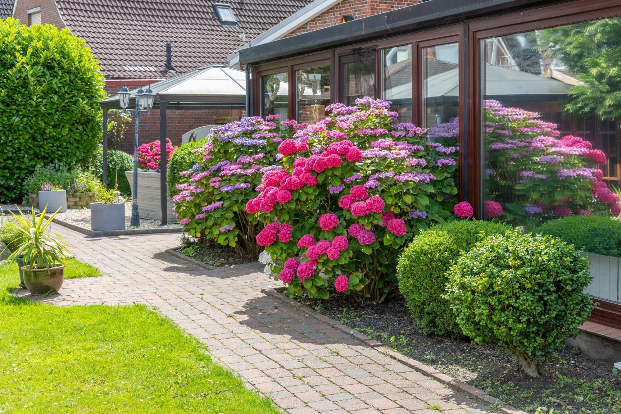 Pension Nordlicht เอเซินส์ ภายนอก รูปภาพ
